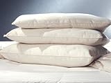 Certified Organic Cotton Pillow