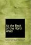 At the Back of the North Wind (Large Print Edition)