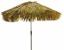 Small Tiki Umbrella