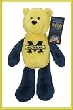 University of Michigan Wolverines