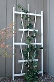 Trellis: Rosebud PVC
