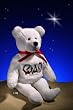 Miracle the Christmas Holy Bear