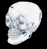 Head Artwork Sculptures