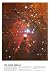 The Cone Nebula, Stars & Comets Wall Poster Print, 24x36