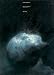 Search : Helnwein - Works on Paper 1969/1989