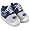 Penn State Nittany Lions
