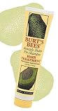 Burts Bees Avocado Butter Pre-shampoo Hair Treatment (4.34 oz.)