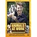 Animals At Work With John Barrowman [DVD] [2010]