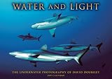 Water and Light 2009 Wall Calendar (Calendar)