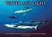 Water and Light 2009 Wall Calendar (Calendar)