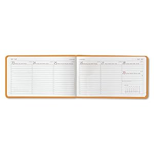 Ladytimer TO GO Deluxe Amber 2016 - Taschenplaner / Taschenkalender quer (15,3 x 8,7) - Tucson Einband - Motivprägung Floral - Weekly - 128 Seiten