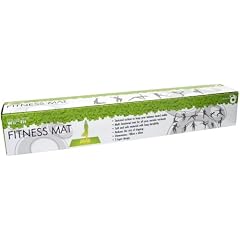 Wii Fit Fitness Mat