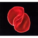 Peter Gabriel
    
     
              &nbsp; - Scratch My Back (Special Edition)