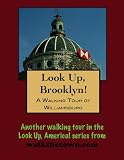 A Walking Tour of Brooklyn - Williamsburg, New York (Look Up, America!)