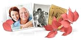 picture of Family Tree Maker 2012 Platinum Edition (PC)