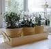 Kitchen & Housewares : 3 cream metal pots on tray - perfect for kitchen herbs or as a garden gift