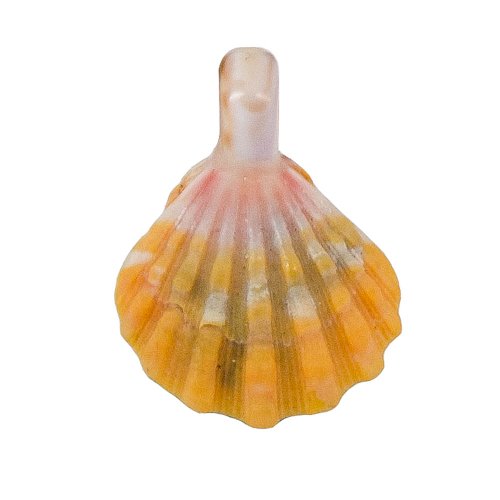 Sunrise Shell Natural Color Pendant with Puka Top Made in Hawaii
