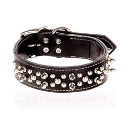 Oak Tanned Spiked Leather Collar - 3/8 X 12 - Black