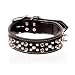 Oak Tanned Spiked Leather Collar - 3/8 X 12 - Black
