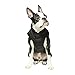 Gooby - Wind Parka, Fleece Lined Small Dog Jacket Coat Sweater with Water Resistant Shell and Leash Ring, Black, Large