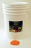 Review Living Whole Foods  / 35 Lb - Red Lentil Sprouting Seed Mix - 35 Lb Re-sealable Bucket - Delicious Nutty Crunchy Mix of Red Lentils - High Germination Rate - Perfect for Edible Seeds, Gardening, Hydroponics, Salad, Soup, Sprouts & Food Storage - Sprout Indoors for Fun, Health & Great Taste.