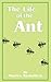 The Life of the Ant