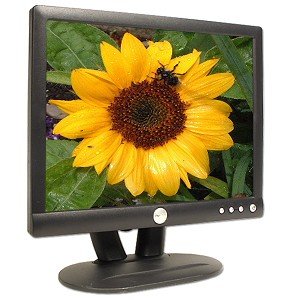 Dell E153FP 15-inch Flat Panel Color LCD Monitor by 