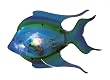 Crystal Catch Fish