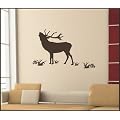 Wandtattoo Hirsch Natur //Motiv514 Gr��e Hirsch ca. 50cmx50cm// Pilze + Gras einzelne Aufkleber