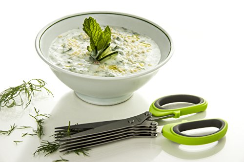 paper Herb 5  with Gourmet Shears Stainless  gourmet Multipurpose  crafts FreshCut Scissors