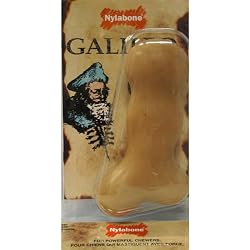 Nylabone Galileo Dog Bone - Souper
