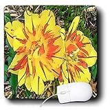Sandy Mertens Botanical Garden - Yellow Daylilies Painting Style - Mouse Pads