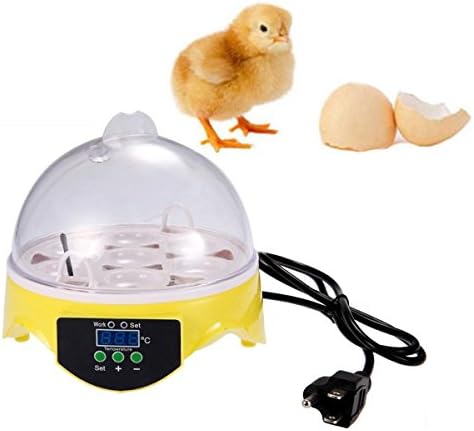 7 Eggs Digital Automatic Temperature Mini Advance Transparent Chicken Duck Incubator Hatcher