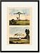 Black Framed/Matted Print 17x23, Fanciful Garden Shelters