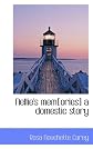 Nellie's mem[ories] a domestic story