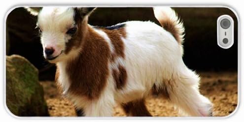 Apple iPhone 5 5S Cases Customized Gifts Goat White Hard PC Case