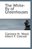 The White-fly of Greenhouses