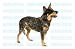 AUSTRALIAN CATTLE DOG - Decal - sticker car got graphic