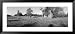 Old House in the Uncultivated Field, North Woods, Wisconsin, USA Framed Art Poster Pr...