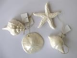 Set 4 Pearlized Ornaments, Shells, Starfish Sand Dollar