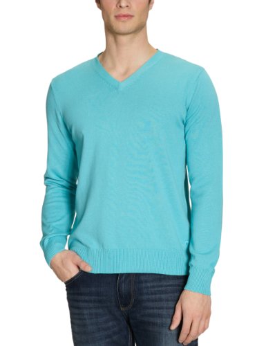 TOM TAILOR Herren Pullover 30147140010/Paale v-neck pullover, Gr. 50/52 (L), Gr&uuml;n (7280) Preisvergleich