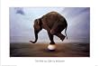 Elephant (The Key to Life is Balance) Art Poster Print - 24x36