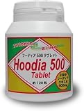 フーディア 500/