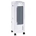 SPT SF-610 Portable Evaporative Air Cooler with Ionizer