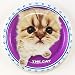 Party Supplies - THE CAT 9