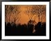 Sunset Through Trees, by Bohai Sea, Qinhuangdao, Hebei Province National Geographic Collection Framed Art Poster Print by Raymond Gehman, 49x39