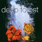 Boheme by  Deep Forest 