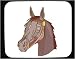 Decorated Mouse Pad with head, horse, muzzle