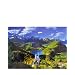 Neuschwanstein and Surroundings Puzzle - 5000 Piece