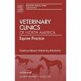 Evidence-Based Equine Medicine, An Issue of Veterinary Clinics: Equine Practice (The Clinics:... by  D. Ramey